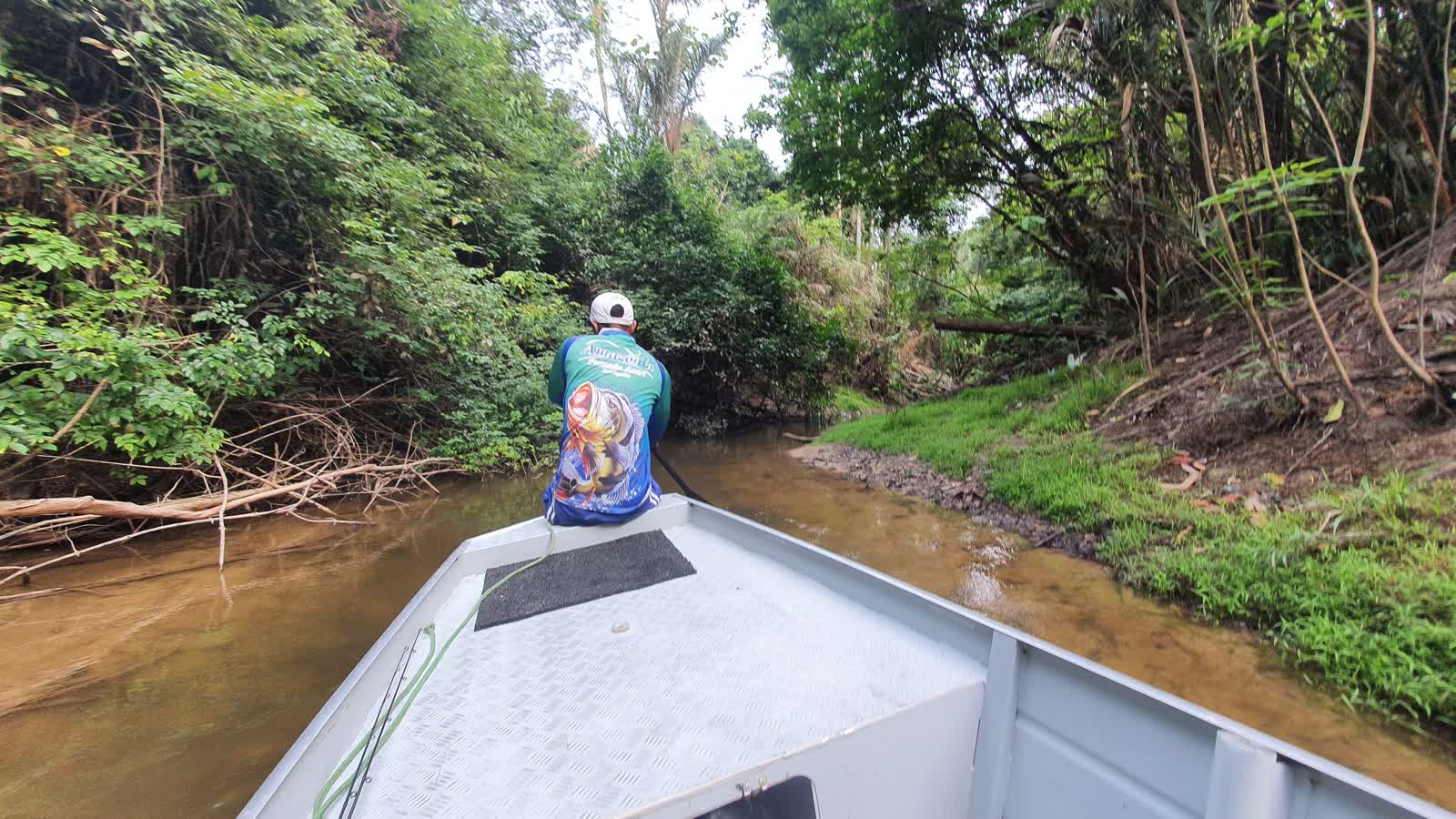Pescador na proa de um barco entrando num igarapé estreito na mata